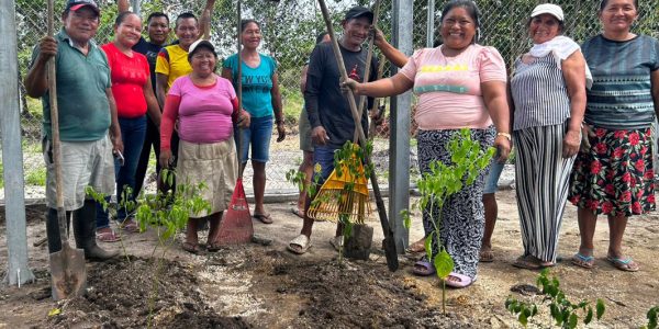 Gestión ambiental HG 2